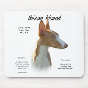 Ibizan Hound History Design Muismat