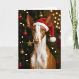Ibizan Hound Holiday Card Feestdagen Kaart