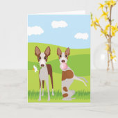 Ibizan Hound Hond Dier Bubble Gum Kaart (Gele Bloem)