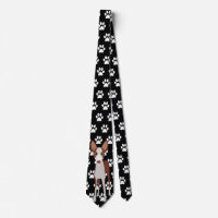 Ibizan Hound Podenco Dog Paws