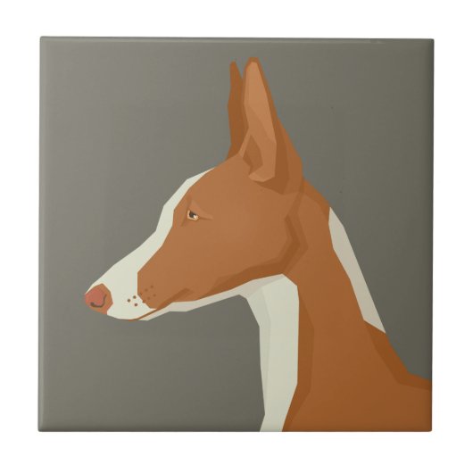 Ibizan Hound Tegeltje (Voorkant)