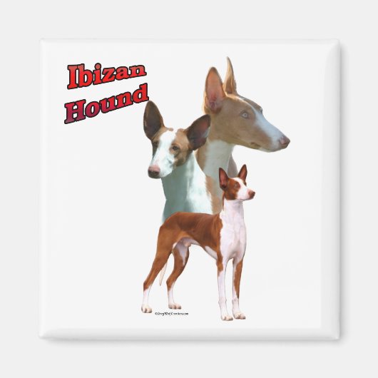 Ibizan Hound Trio 2 - Magneet (Voorkant)