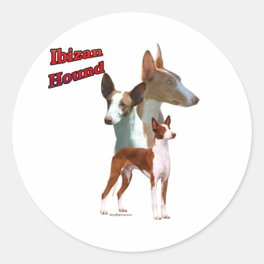 Ibizan Hound Trio 2 - Sticker (Voorkant)