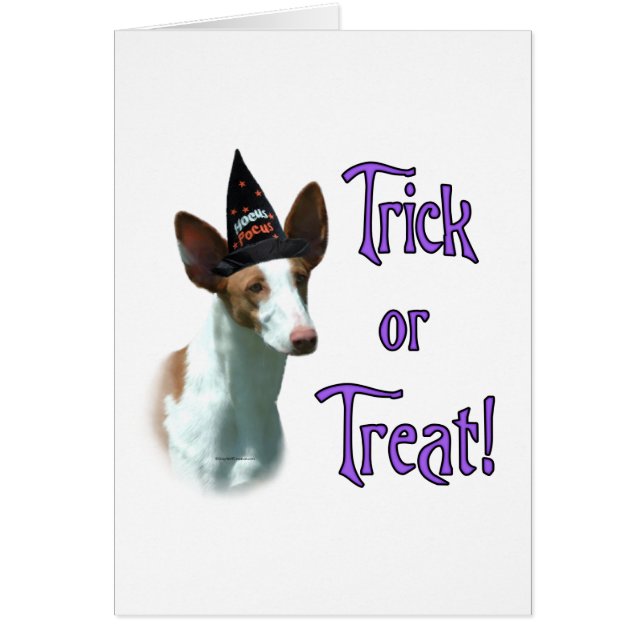 Ibizan hound truc (Voorkant)