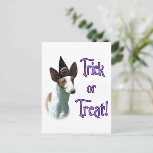 Ibizan hound truc briefkaart (Staand voorkant)