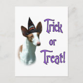 Ibizan hound truc briefkaart (Voorkant)