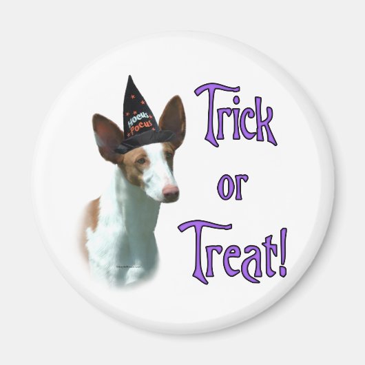 Ibizan hound truc magneet (Voorkant)