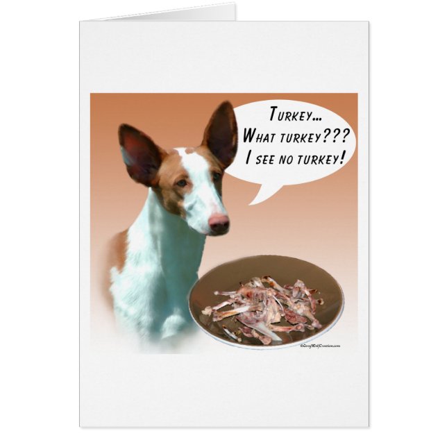 Ibizan Hound Turkije (Voorkant)