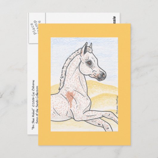 Ibn Shai Hulud Briefkaart (Voorkant / Achterkant)