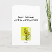 IBSP Beach Solidago (Goldenrod) Note Kaart (Achterkant)