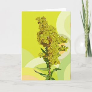 IBSP Beach Solidago (Goldenrod) Note Kaart