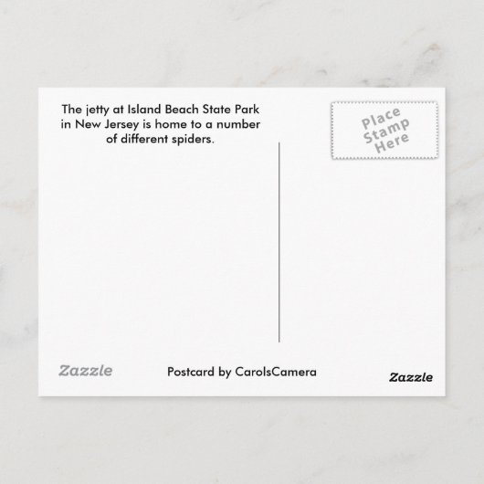 IBSP Jetty Spider Briefkaart (Achterkant)