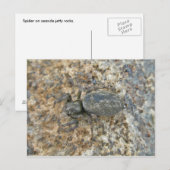 IBSP Jetty Spider Briefkaart (Voorkant / Achterkant)