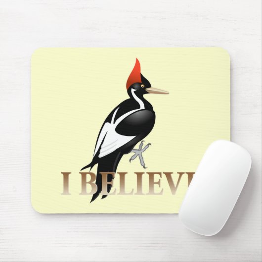 IBWO: Ik geloof Muismat (Met muis)