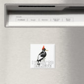 IBWO: Ik wil geloven Magneet (Insitu (Vaatwasser))