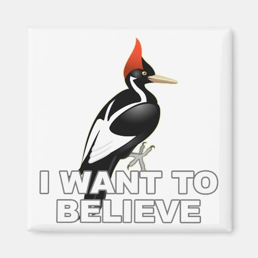 IBWO: Ik wil geloven Magneet (Voorkant)