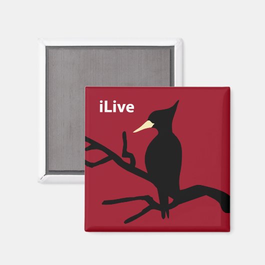 IBWO: iLive Magneet (Voorkant / Achterkant)