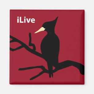 IBWO: iLive Magneet