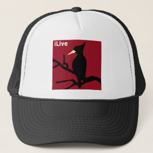 IBWO: iLive Trucker Pet