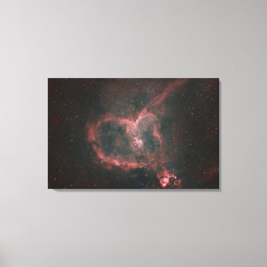 IC1805, de hartnevel Canvas Afdruk (Voorkant)