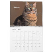 iCat Forever 2019-agenda Kalender (Jan 2027)