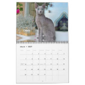 iCat Forever 2019-agenda Kalender (Mar 2027)