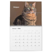 iCat Forever 2019-agenda Kalender (Jan 2026)