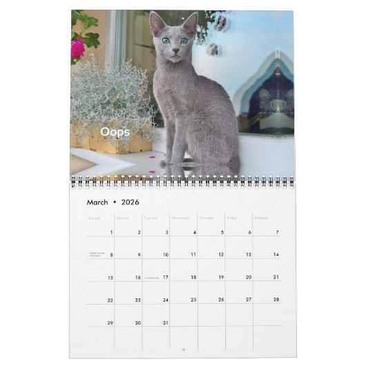 iCat Forever 2019-agenda Kalender (Mar 2026)