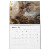 iCat Forever Contest Calendar Kalender (Feb 2026)