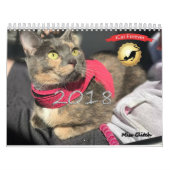 iCat Forever Contest Calendar Kalender (Hoes)