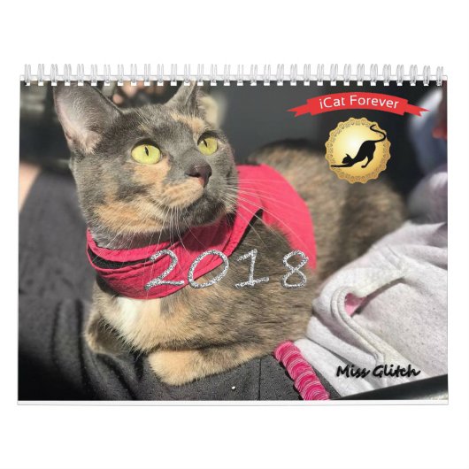 iCat Forever Contest Calendar Kalender (Hoes)
