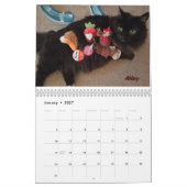 iCat Forever Contest Calendar Kalender (Jan 2027)