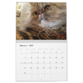 iCat Forever Contest Calendar Kalender (Feb 2027)