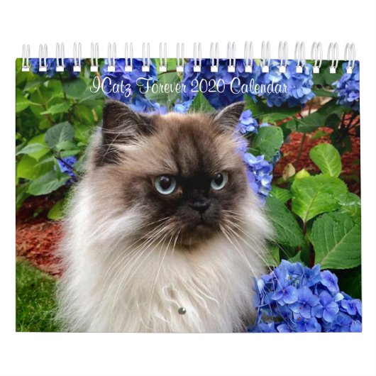 ICatz voor ooit 2020 de Kalender van het Team (Hoes)