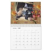 ICatz voor ooit 2020 de Kalender van het Team (Jan 2027)