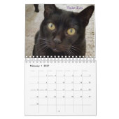 ICatz voor ooit 2020 de Kalender van het Team (Feb 2027)