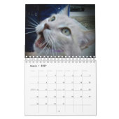 ICatz voor ooit 2020 de Kalender van het Team (Mar 2027)
