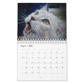 ICatz voor ooit 2020 de Kalender van het Team (Mar 2026)