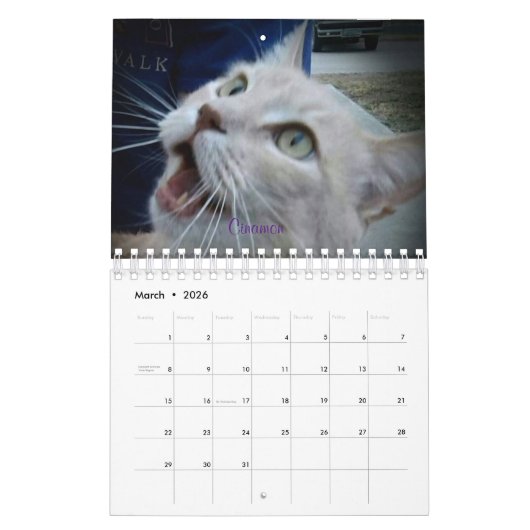 ICatz voor ooit 2020 de Kalender van het Team (Mar 2026)