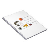 ICD-10: W21 Gebok van Balls Notitieboek (Rechterzijde)