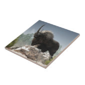 Ice Age Tough Tegeltje (Zijkant)