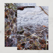 Ice Art 1 Kaart (Voorkant / Achterkant)