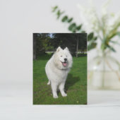 Ice bears. briefkaart (Staand voorkant)