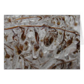 Ice-bekleding (Voorkant Horizontaal)