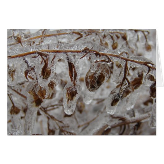 Ice-bekleding (Voorkant Horizontaal)