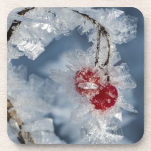 Ice Berries Drankjes Onderzetter