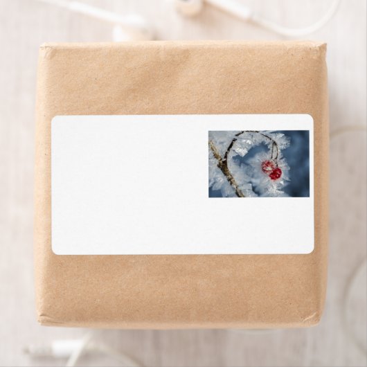 Ice Berries Etiket (Insitu)