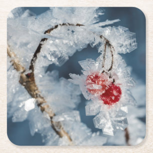 Ice Berries Kartonnen Onderzetters
