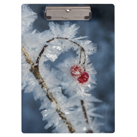 Ice Berries Klembord (Voorkant)