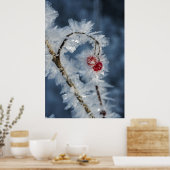 Ice Berries Poster (Keuken)